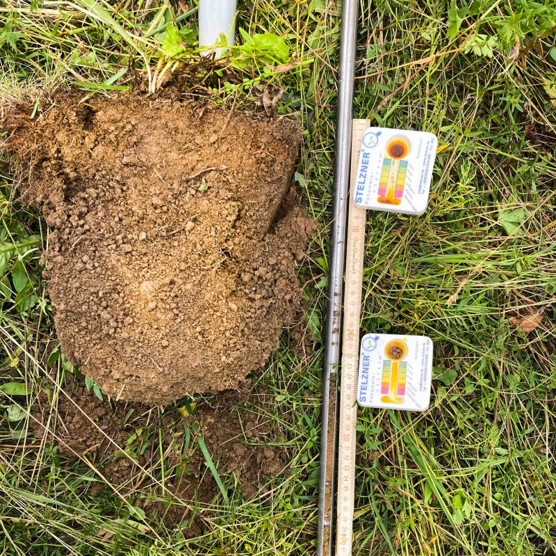 Spatenprobe (resp. Bodenprobe) am Boden liegend mit Meter und pH-Messungen.